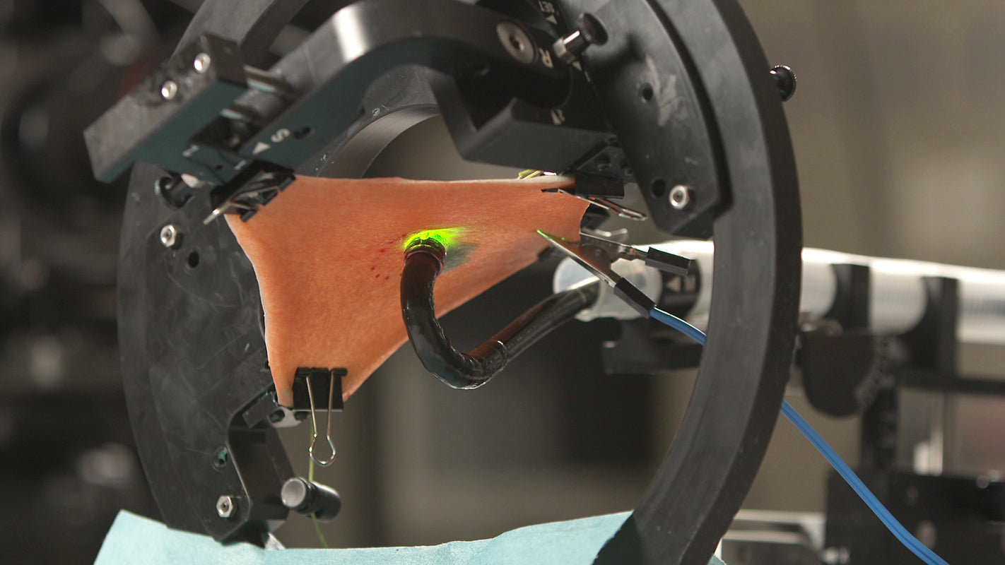A surgical endoscope creates an electrosurgical incision around a marked lesion on an orange synthetic gastric mucosa tissue pad. The ESD training system's setting is in an upside down position to simulate gravitational effects on the tissue.
