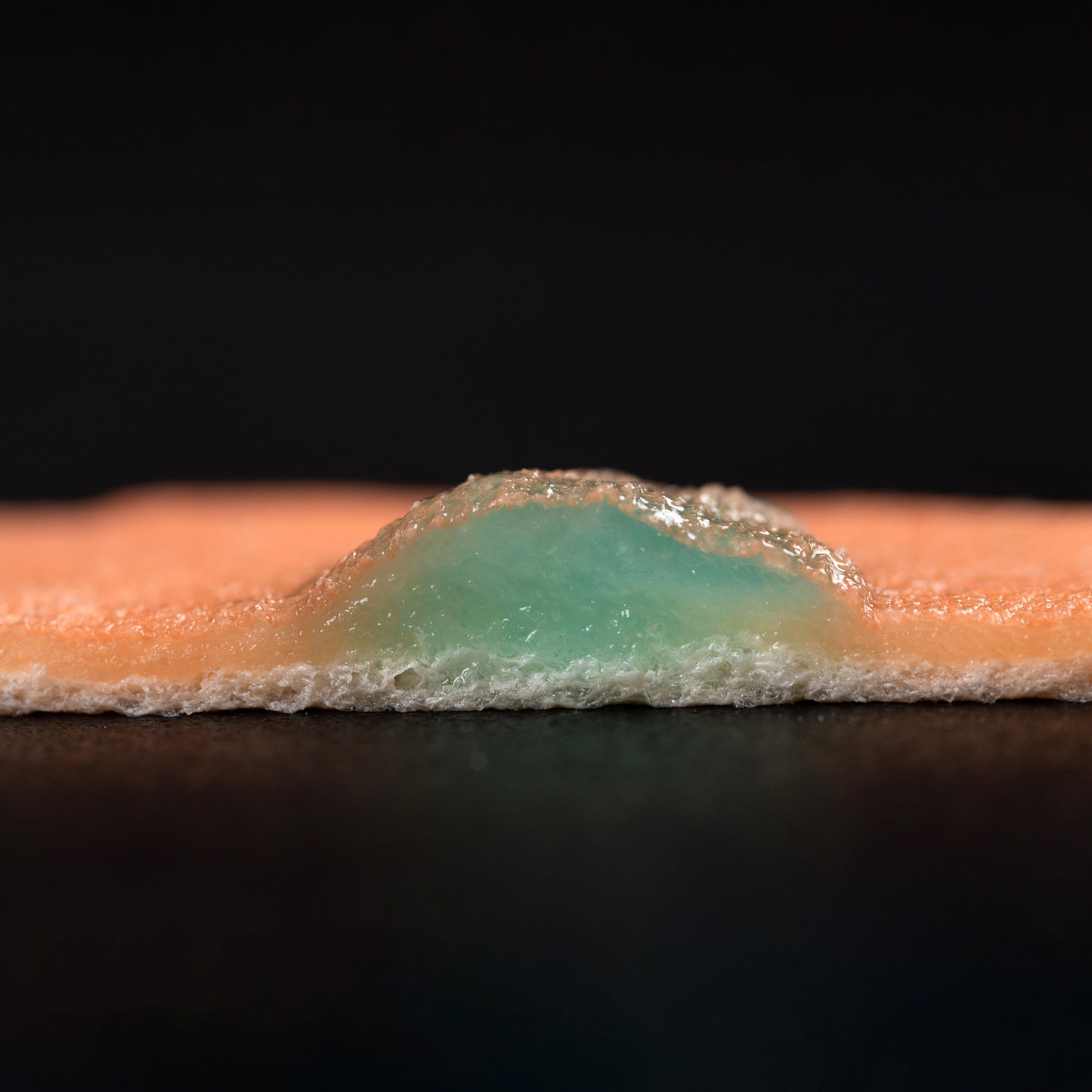 A cutaway side view of the VTT Mucosa Model, which has been injected with lesion-raising VTT Injection Solution. The raised lesion presents as a pocket of blue gel beneath the mucosal layer.