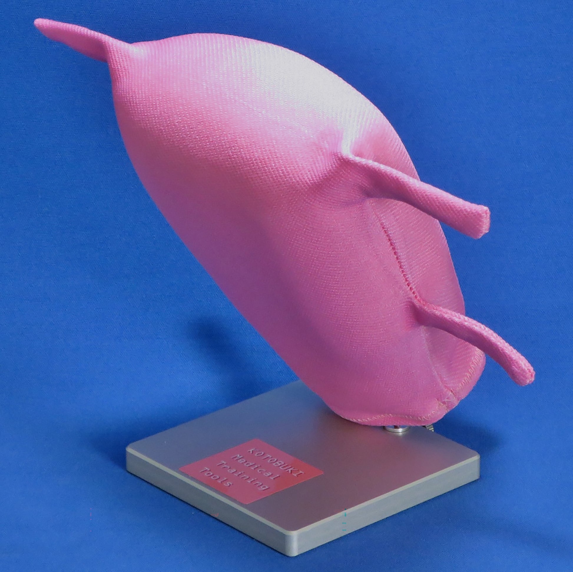 A pink Laparoscopic Myectomy model is propped up on its base for training. This model has four tube-like fabric structures, two on each side, to represent serosa.
