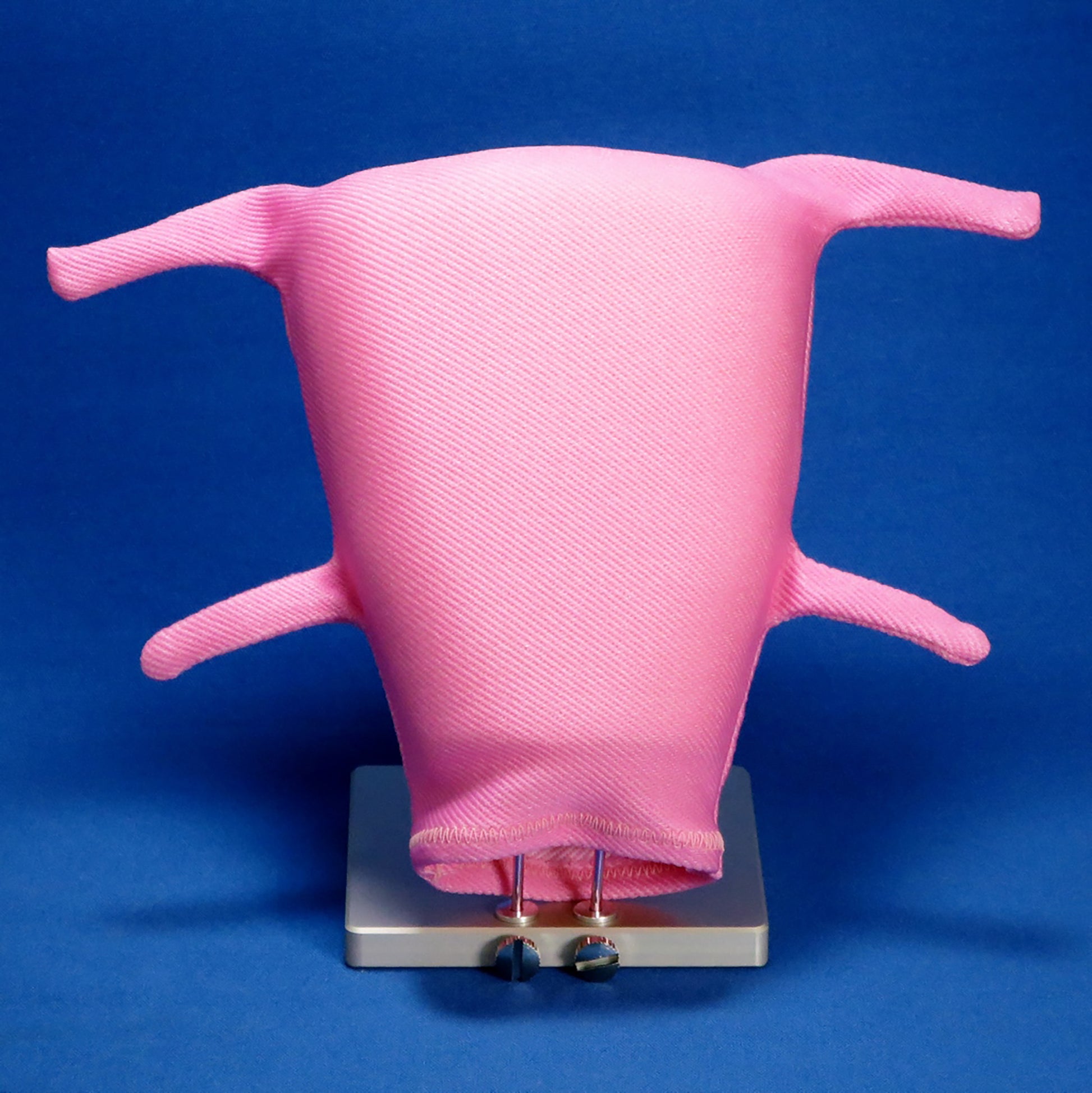 A pink Laparoscopic Myectomy model is propped up on its base for training. This model has four tube-like fabric structures, two on each side, to represent serosa.