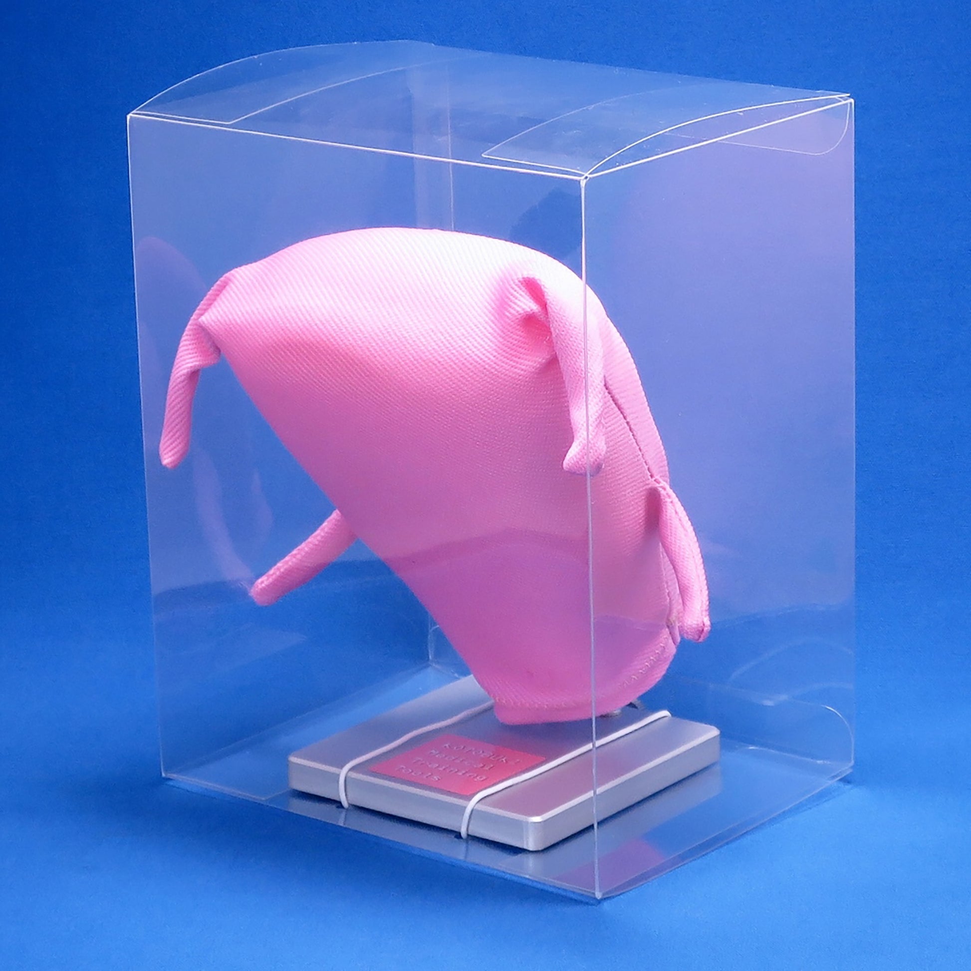 The parallel position Laparoscopic Myectomy Model in a clear plastic box against a blue background.
