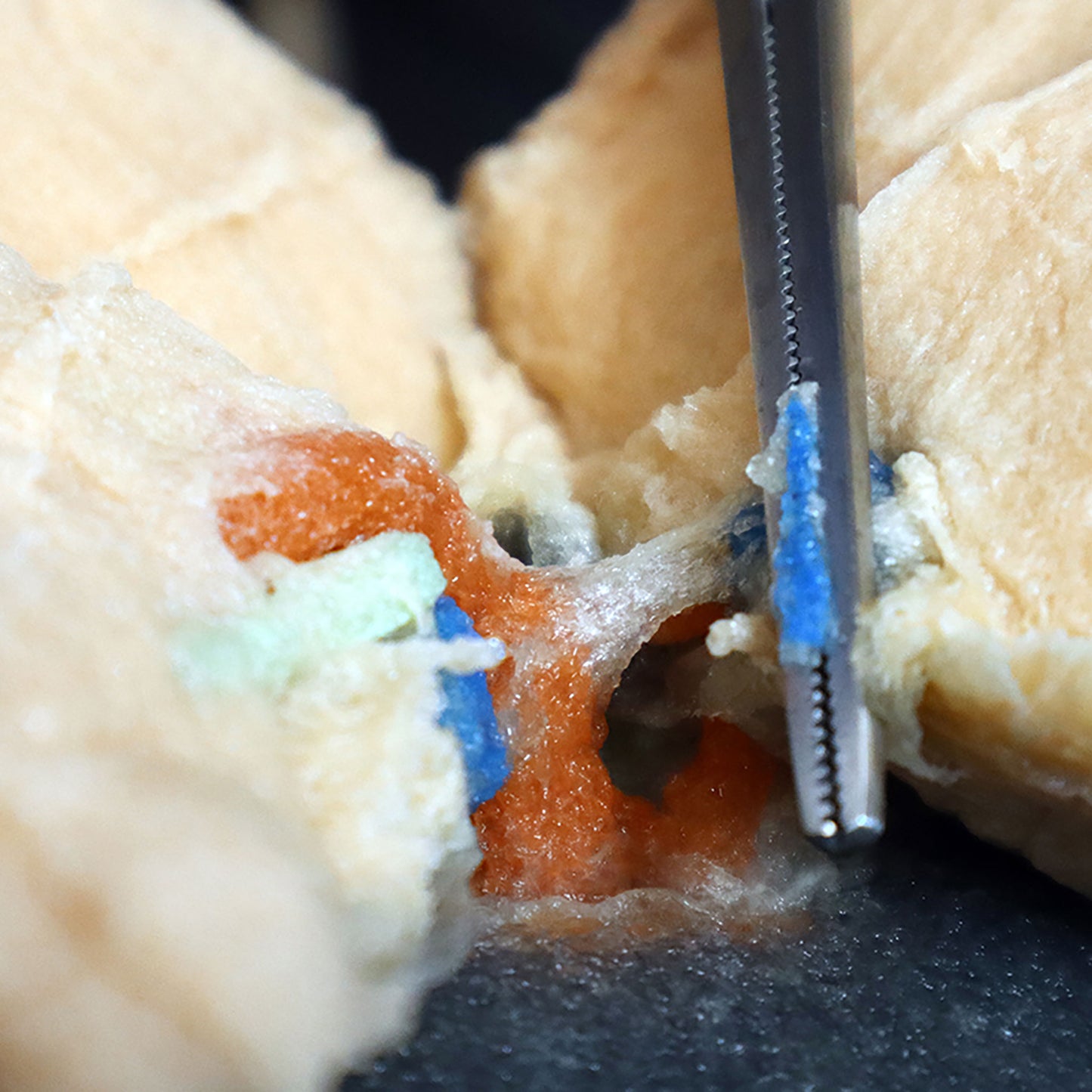 A surgical fellow practices clamping the synthetic pulmonary artery during lobectomy training. The plant-based synthetic lung tissue sits on either side of the artery and ventricle.