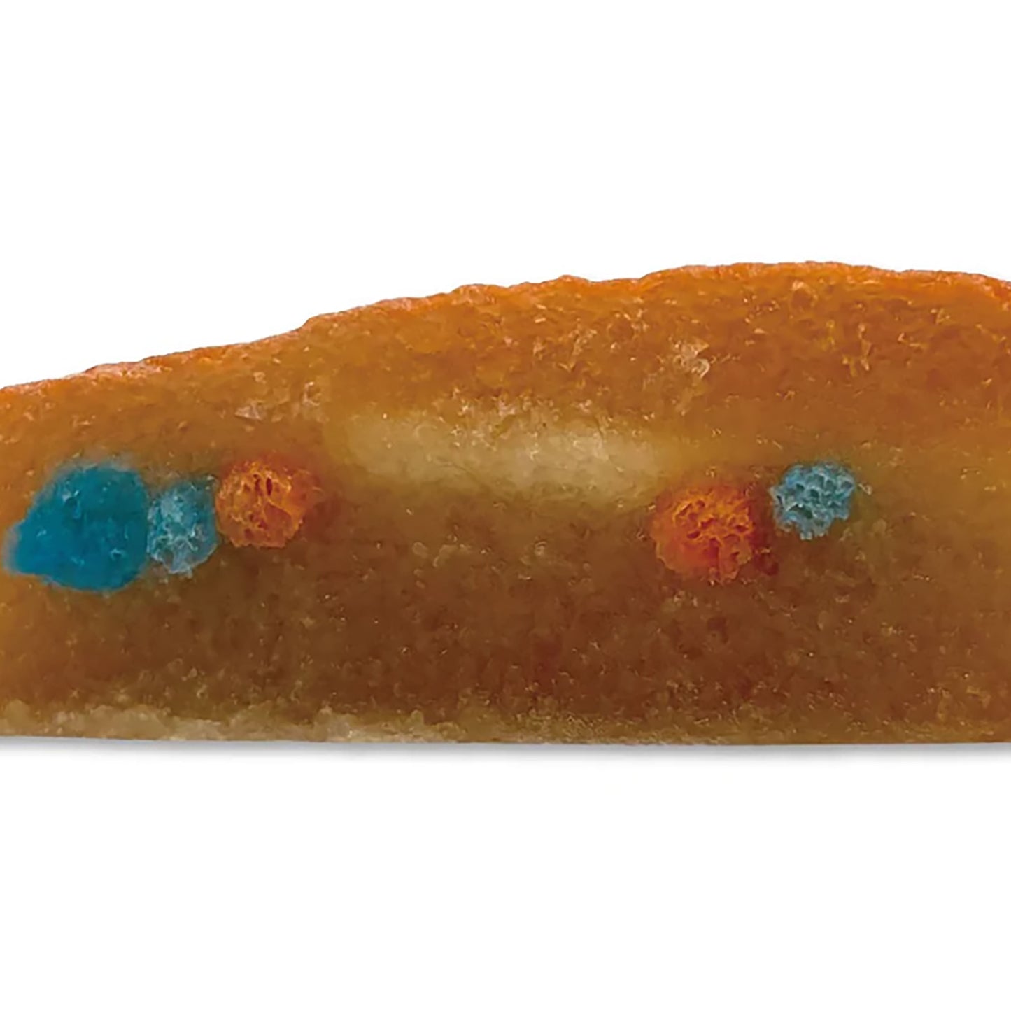 Close up of the RBM2 Model cut in half. One lymph node and two sets of differently sized and colored vessels can be seen embedded in the semii-transparent plant-based tissue.