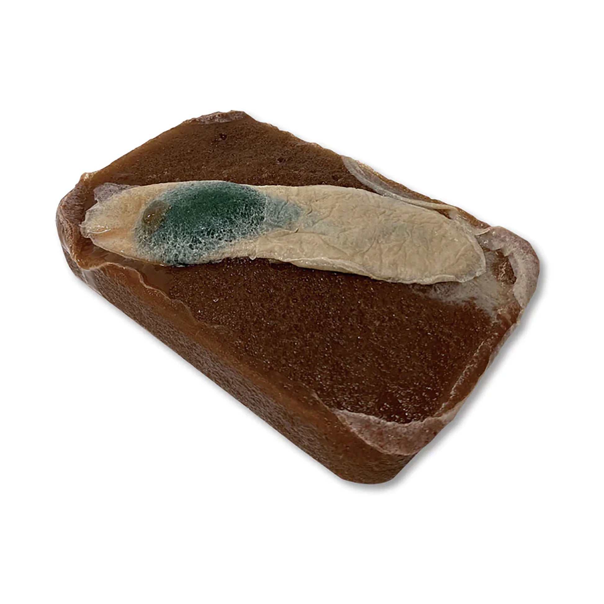 Plant-based synthetic gallbladder covered in fascia. Second surgical plane is soft, liver-like sponge of the same material.