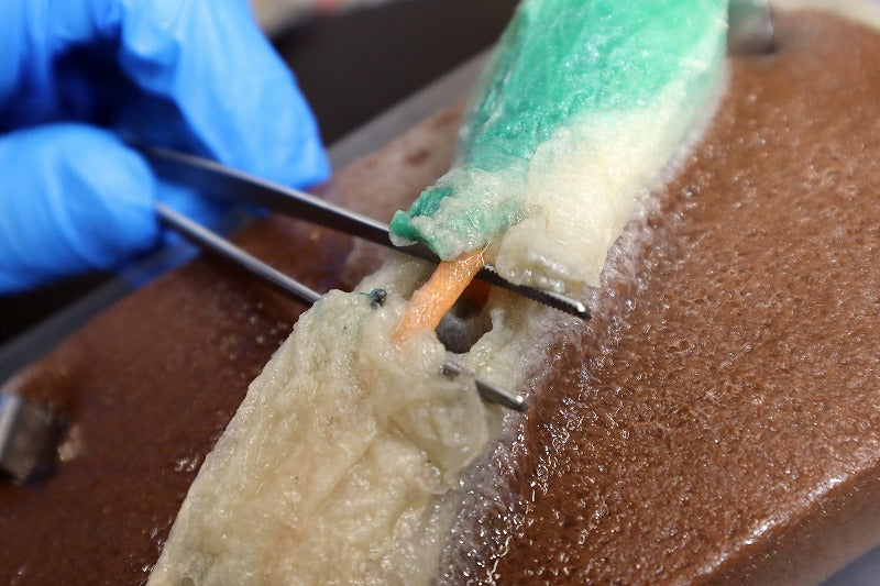 Gloved hand uses blunt dissection to reveal the orange-dyed gallbladder artery of a synthetic model.