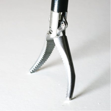 Training Maryland Forceps