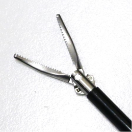 Training Maryland Forceps