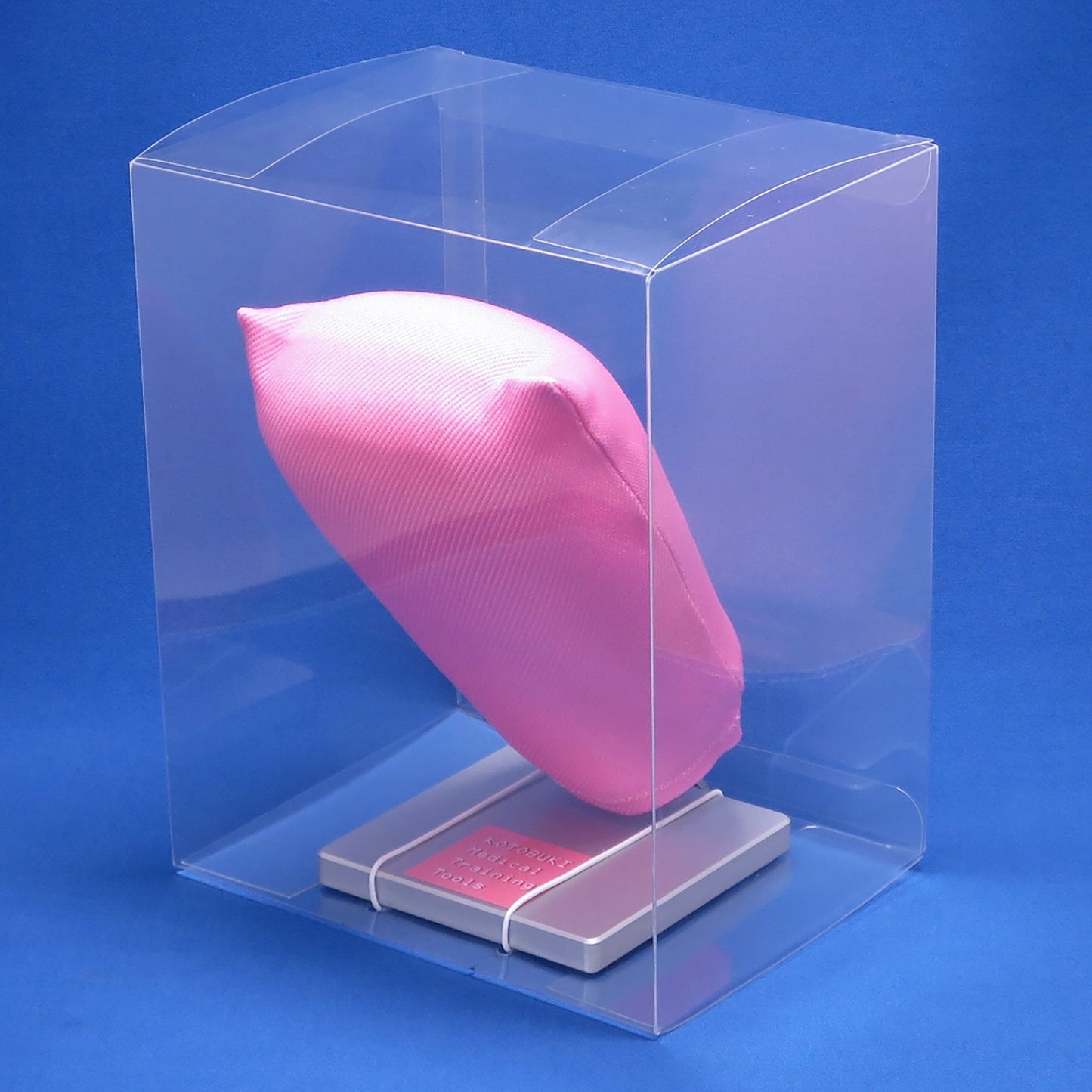The Laparoscopic Myectomy Model in a clear, plastic box against a blue background. 