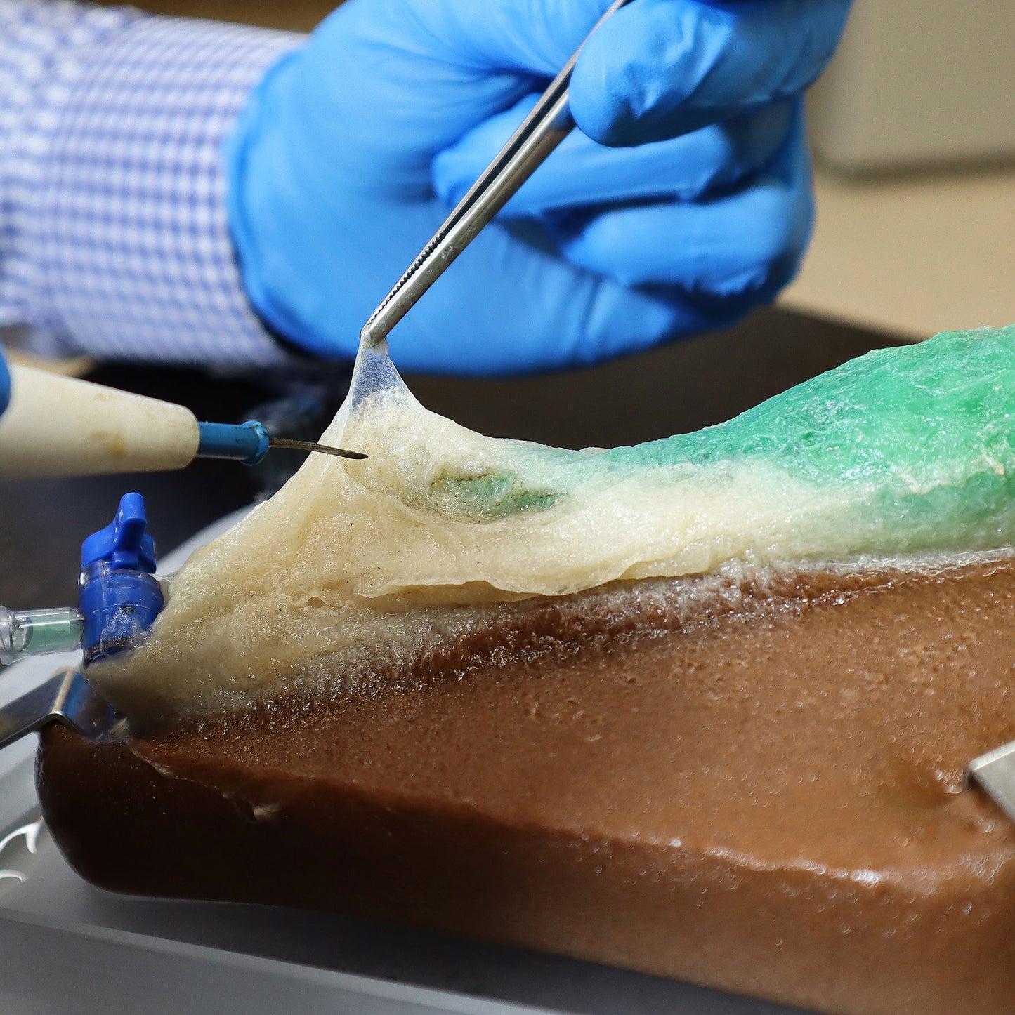 Demonstrator wearing blue gloves uses blunt dissection and to remove fascia from a plant-based synthetic gallbladder.