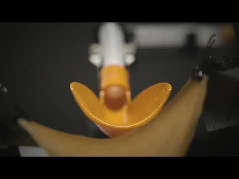 The G-Master ESD Training System【GM001】 – KOTOBUKI Medical